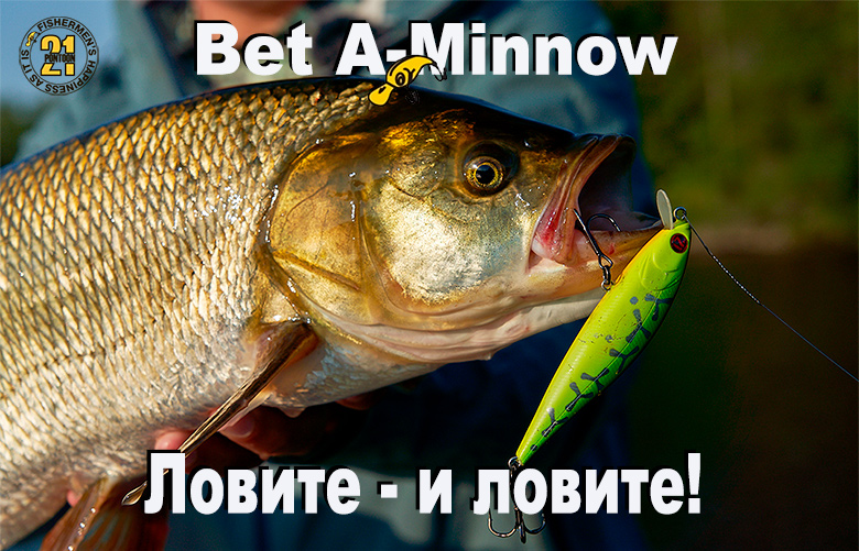 Bet-A-Minnow news